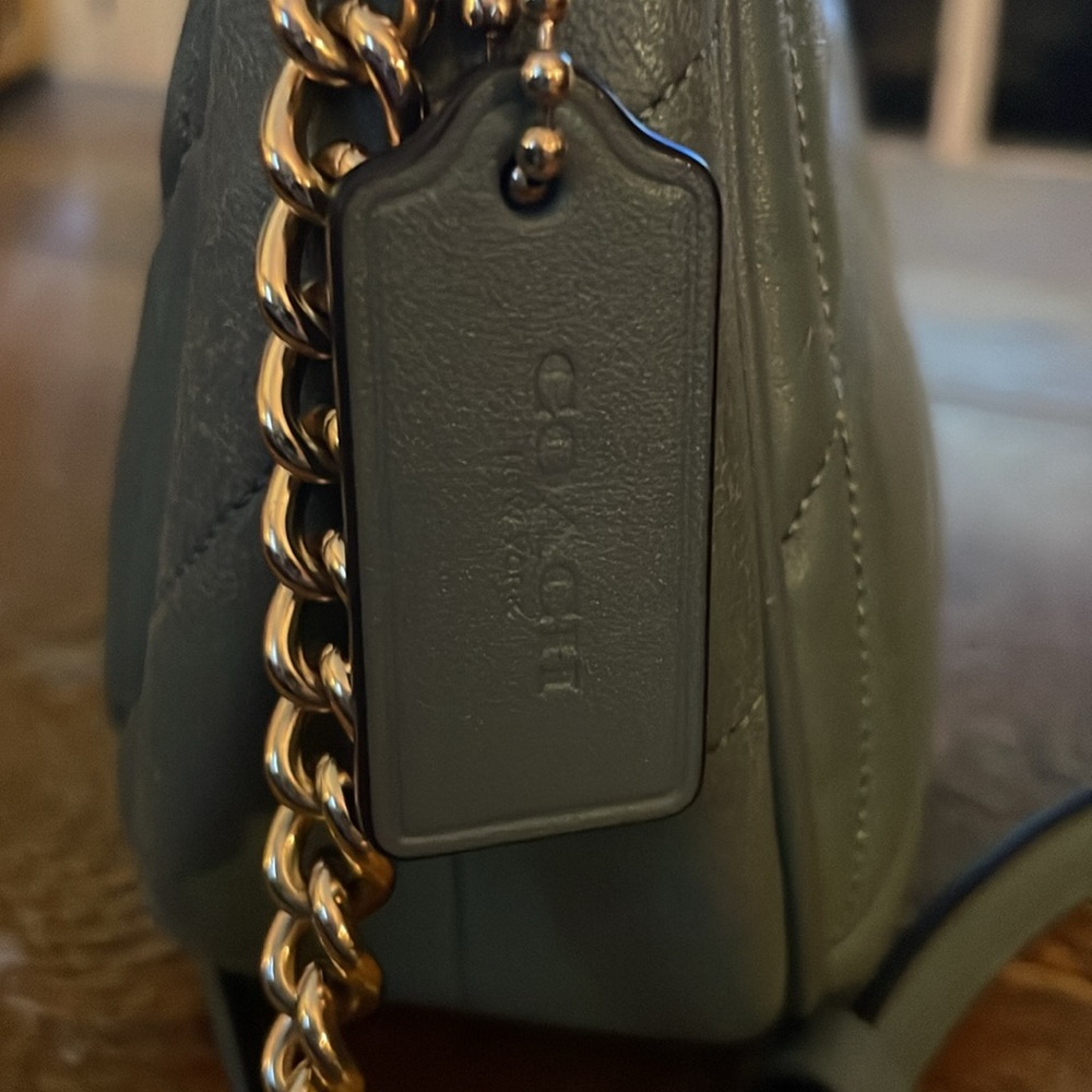 Coach Carmen Mini Crossbody Bag leather with Gold accents Sage Green CY710 - Picture 5 of 11